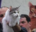 3-D_20140126 -183858 _IMG_9951a